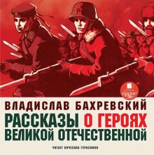 Аудиокнига Рассказы о героях Великой Отечественной