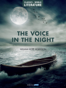 Аудиокнига Голос в ночи