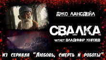 Аудиокнига Свалка