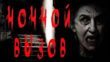 Аудиокнига Ночной вызов