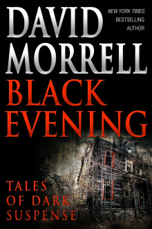 Аудиокнига Оранжевый для боли, синий для безумия