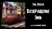 Аудиокнига Возвращение Эми