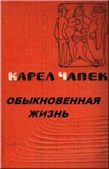 слушать аудиокнигу Обыкновенная жизнь Аудиокнига Обыкновенная жизнь