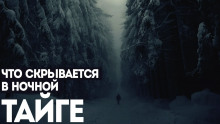 слушать аудиокнигу Ямщик Аудиокнига Ямщик