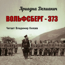 Аудиокнига Вольфсберг-373
