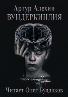 слушать аудиокнигу Вундеркиндия Аудиокнига Вундеркиндия