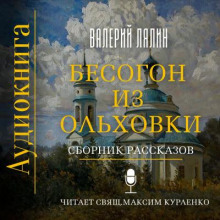 Аудиокнига Бесогон из Ольховки. Сборник рассказов