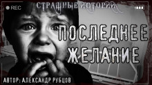 слушать аудиокнигу Последнее желание Аудиокнига Последнее желание