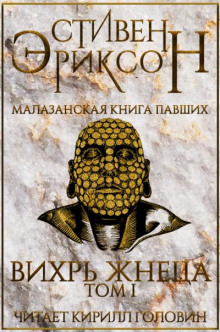 Аудиокнига Вихрь Жнеца. Том 1