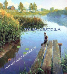 Аудиокнига Тоша-святоша