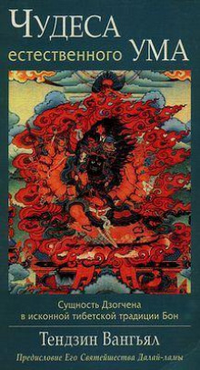 Аудиокнига Чудеса естественного ума