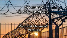 Аудиокнига 16 шагов в одну сторону