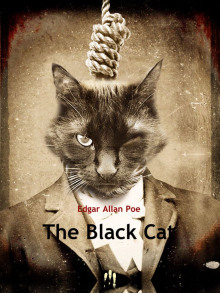 Аудиокнига Черный кот