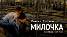 Аудиокнига Милочка
