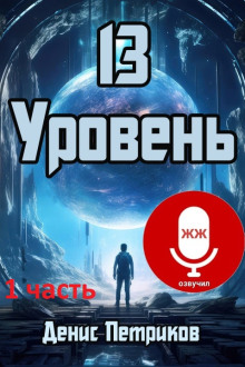 Аудиокнига 13 уровень