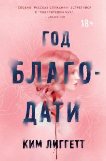 Аудиокнига Год благодати