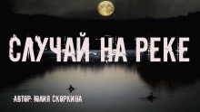 Аудиокнига Случай на реке