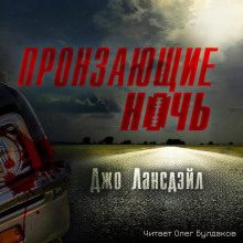 Аудиокнига Пронзающие ночь