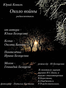Аудиокнига Около войны
