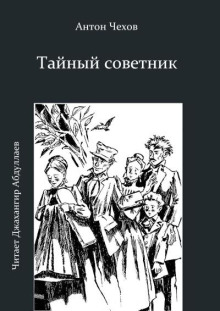 Аудиокнига Тайный советник