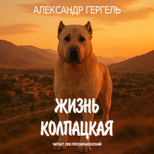 Аудиокнига Жизнь колпацкая