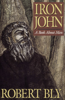 Аудиокнига Железный Джон: книга про мужчин