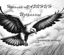 слушать аудиокнигу Полёт орла. Избранное Аудиокнига Полёт орла. Избранное