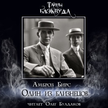 Аудиокнига Один из близнецов
