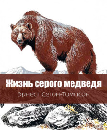 Аудиокнига Жизнь серого медведя