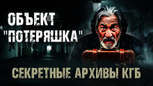 Аудиокнига Секретные архивы КГБ. Объект "Потеряшка"