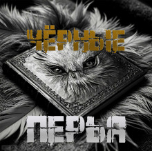 Аудиокнига Чёрные перья