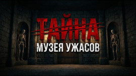 Аудиокнига Галстук Вудро Вильсона