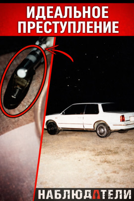 Аудиокнига Идеальная подстава почти сработала