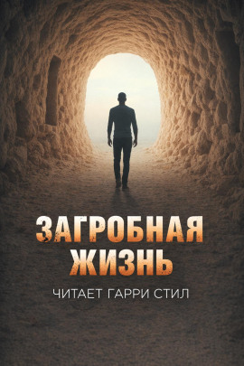 Аудиокнига Загробная жизнь