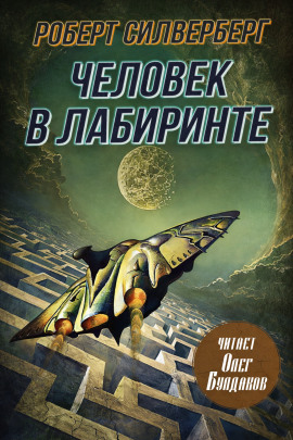 Аудиокнига Человек в лабиринте