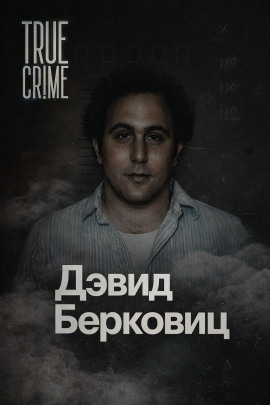 Аудиокнига Письма, которые взорвали город