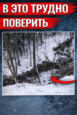 Аудиокнига Оранжевое свечение у дороги