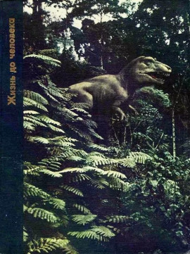 Аудиокнига Жизнь до человека