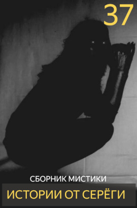 Аудиокнига Истории от Серёги №37