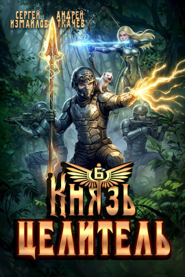 Аудиокнига Князь Целитель 6
