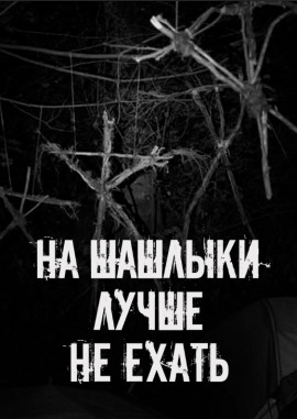 Аудиокнига На шашлыки лучше не ехать!