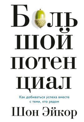 Аудиокнига Большой потенциал. Как добиваться успеха вместе с теми, кто рядом