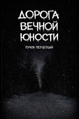 Аудиокнига Дорога вечной юности
