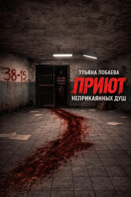 Аудиокнига Приют неприкаянных душ