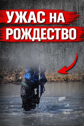 Аудиокнига Исчезла в Рождество