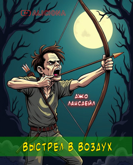 Аудиокнига Выстрел воздух