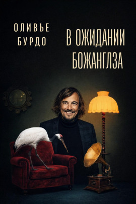 Аудиокнига В ожидании Божанглза