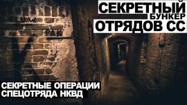 Аудиокнига Дело номер 011