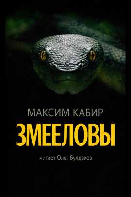Аудиокнига Змееловы. Исцеление