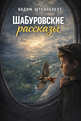 Аудиокнига Шабуровские рассказы